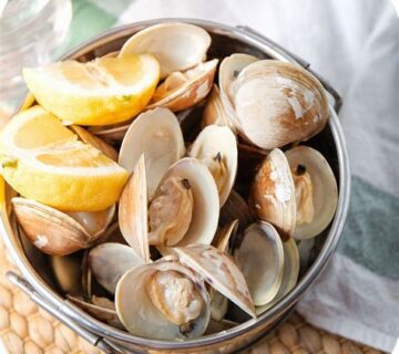 CLAMS - (CLAM)